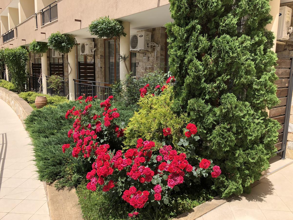 Vp Luxor Studio سفيتي فلاس المظهر الخارجي الصورة